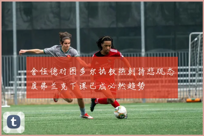 舍伍德对图多尔执教热刺持悲观态度弗兰克下课已成必然趋势